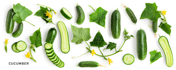 白色背景上有花和叶的黄瓜图片下载