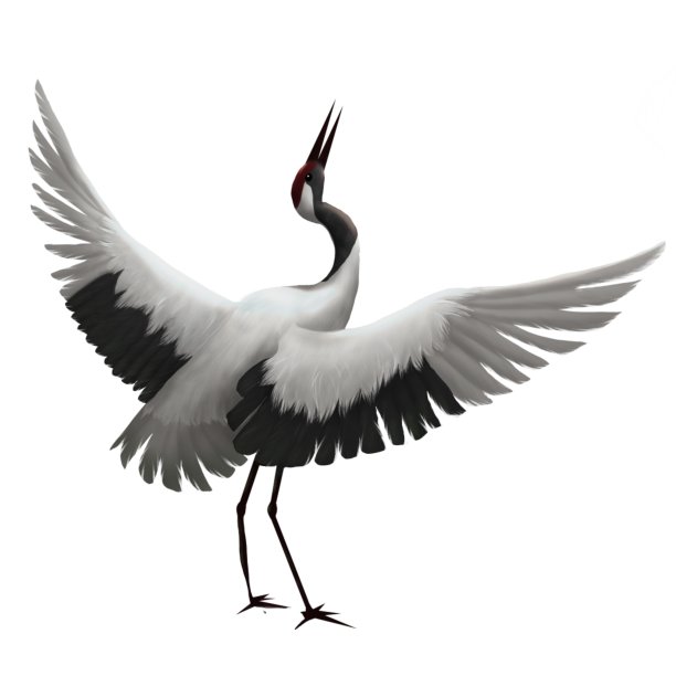 逼真的白鹤鸟在飞行图片下载