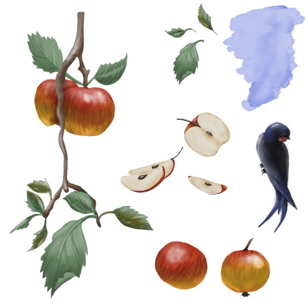 一套苹果树枝图片下载