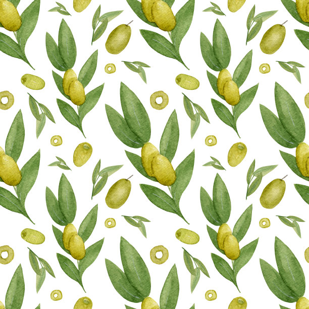 无缝水彩图案，树枝与绿色橄榄和叶子，橄榄切割在白色背景。图片下载