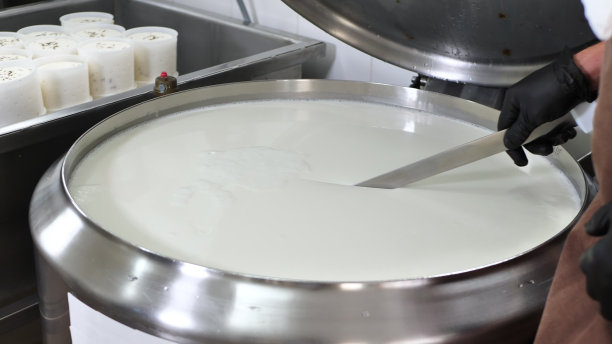 从一家私人奶酪工厂烹饪奶酪。一个男人用一把大刀切原料。图片下载