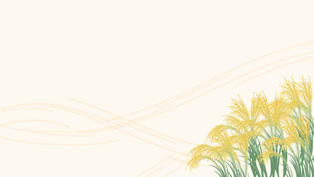 背景插图的现实稻穗。图片下载