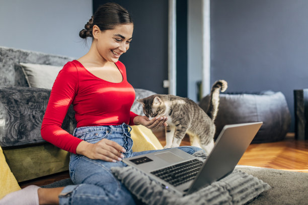 一位年轻女子一边和她的猫玩耍，一边在家工作图片下载