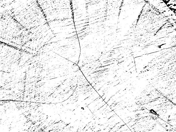 有机椴树横截面垃圾纹理与裂纹单色锯原木背景图片下载