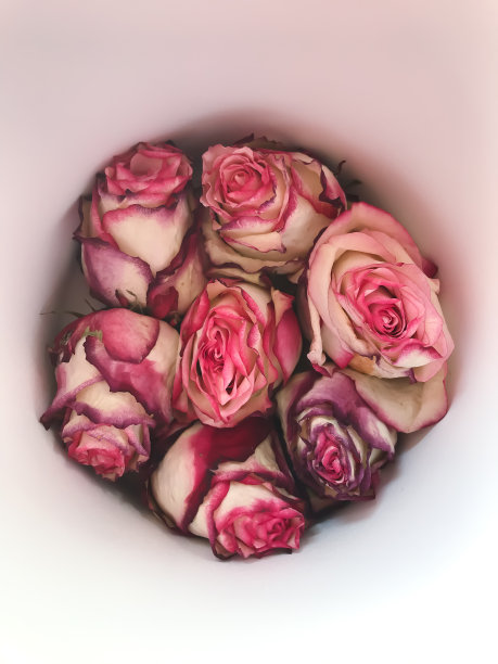 玫瑰在篮子顶部视图。平铺构图鲜花，筹备婚礼图片下载