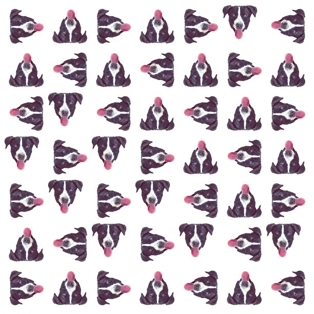 有趣的狗头图案随机图案图片下载