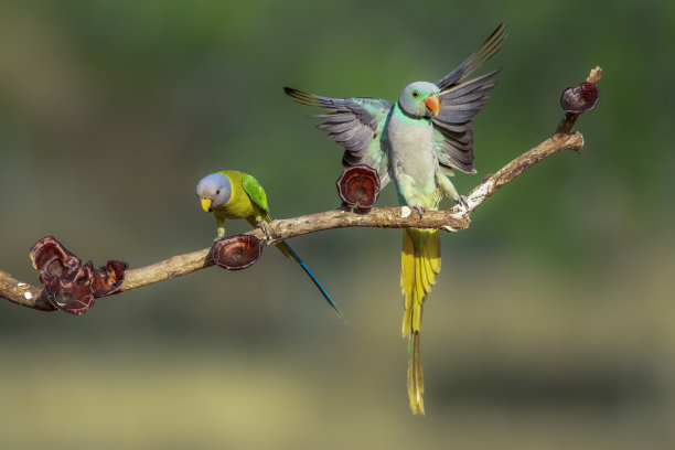 完美的着陆图片下载