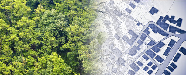 虚构的地籍地图与建筑物，土地地块和空置地块-土地记录和财产登记概念与地籍地块和林地图片下载