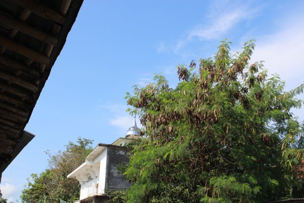 蓝天的俯视图照片图片下载