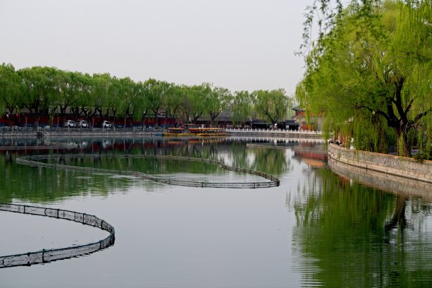 北海的春天图片下载