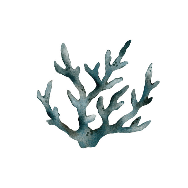 水彩海洋生物蓝色珊瑚。插图。水彩画，珊瑚，布景，海绵，海洋图片下载