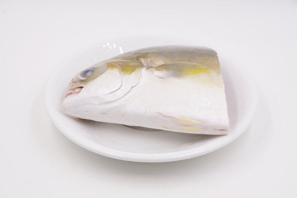 冷生金蓬帕诺鱼图片下载