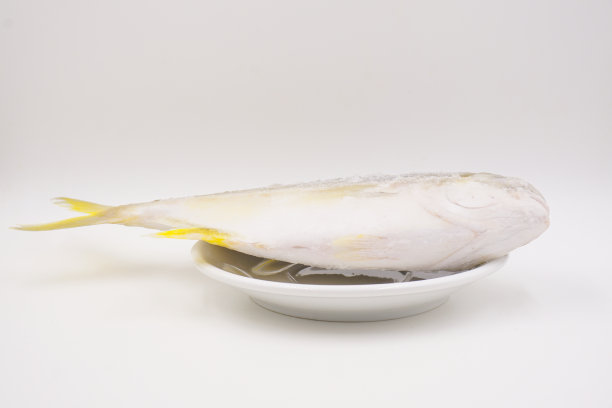 冷冻生金蓬帕诺鱼图片下载