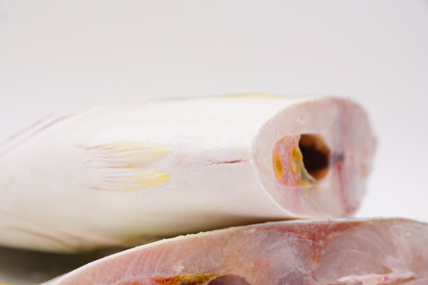 冷生金蓬帕诺鱼图片下载