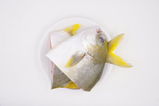 冷生金蓬帕诺鱼图片下载