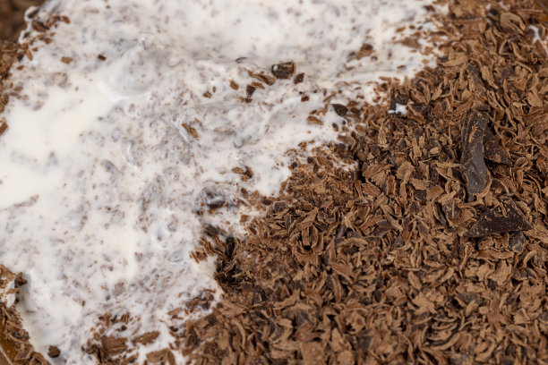 奶油酸奶和巧克力特写图片下载