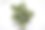 合成植物的照片与盆栽和白色背景图片下载