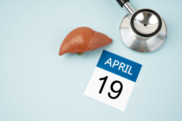 4月19日历和肝人工配听诊器医学。世界肝脏日概念。图片下载