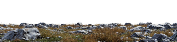 各种各样的石头，中间的草生长在透明的背景- 3d插图图片下载