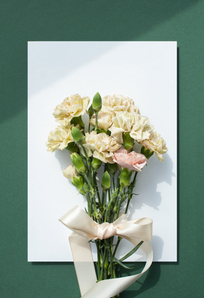 康乃馨和日记模型图片下载