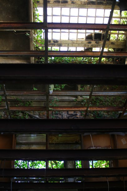 向上拍摄的是一座被常春藤覆盖的废弃工业建筑图片下载