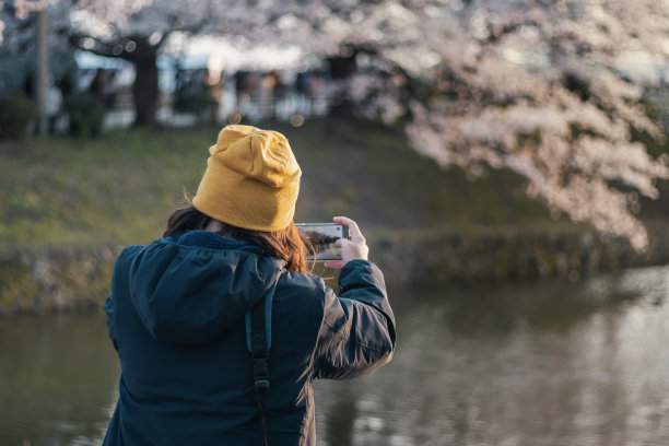 人们在欣赏风景，用手机拍照。图片下载