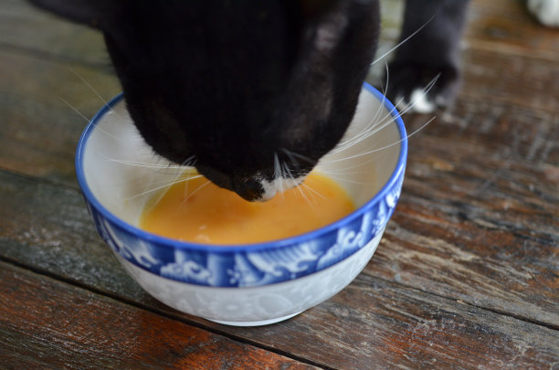 猫喝生鸡蛋图片下载