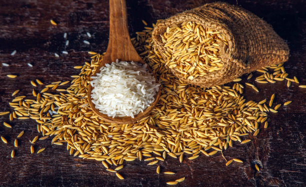 白色的生蒸米饭和大米在一个棕色布袋在木制背景图片下载