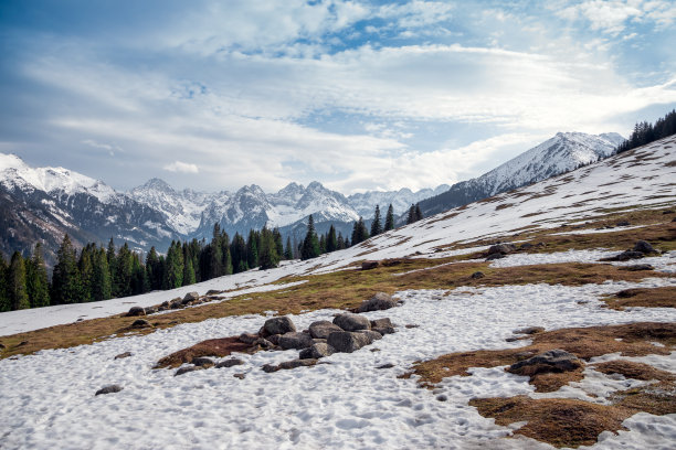 美丽的山间空地。早春。雪山的全景图。波兰塔特拉山脉的Rusinowa Polana图片下载