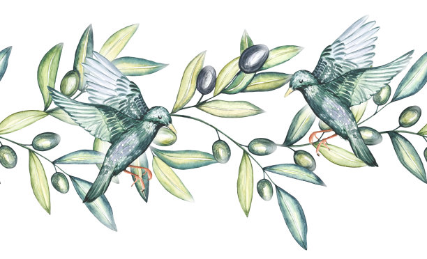 无缝水彩边界与橄榄枝和欧椋鸟在白色背景图片下载