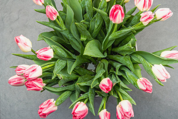 花环从新鲜的郁金香在粉红色的背景。母亲节或情人节的节日概念图片下载