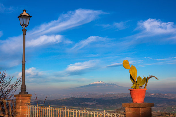 一盆仙人球和埃特纳火山，艾多内图片下载