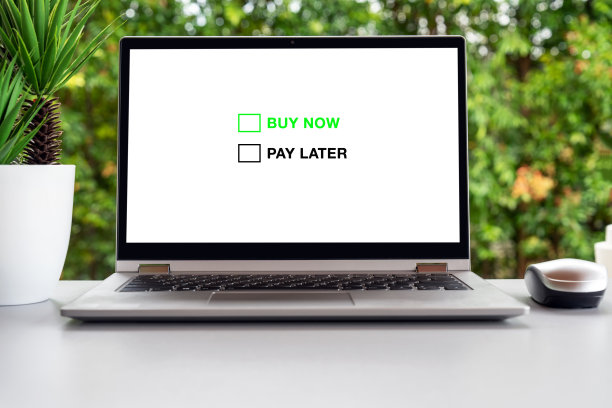 在笔记本电脑上先买后付概念图片下载