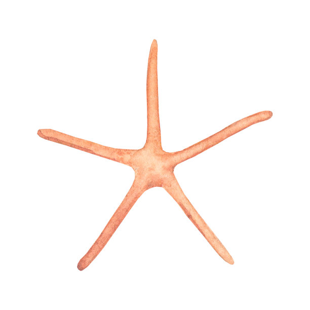 海星水彩剪贴画，白色背景上的设计元素图片下载
