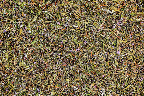 插图百里香干香草纹理背景。拉丁名Thymus vulgaris L.药材。传统医学的概念。图片下载