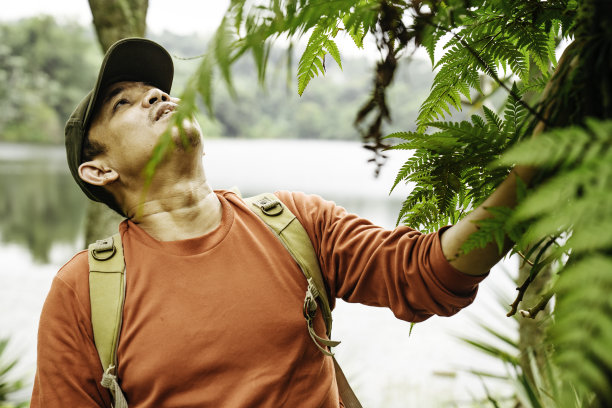 雄性抱着蕨类树叶在树林里图片下载