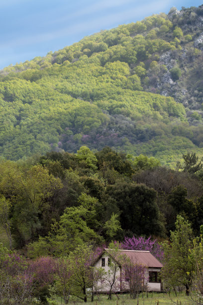 山脚下的小木屋，色彩柔和。有橡树、栗子和黑刺的森林。紫荆树的粉红色花朵构成了风景。图片下载