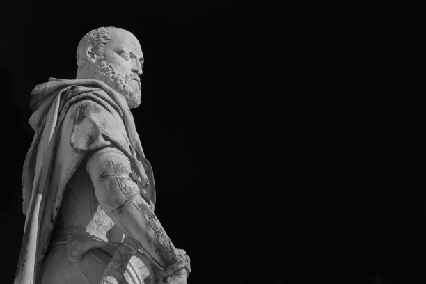 托斯卡纳大公科西莫一世·德·美第奇(黑白加空白)图片下载