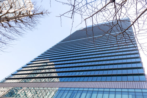 摩天大楼，裸露的树木，东京的倒影图片下载