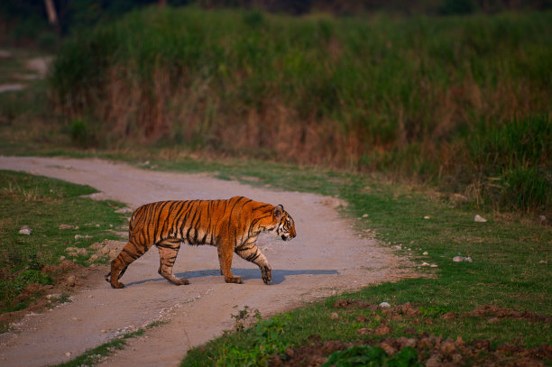 穿越公路图片下载