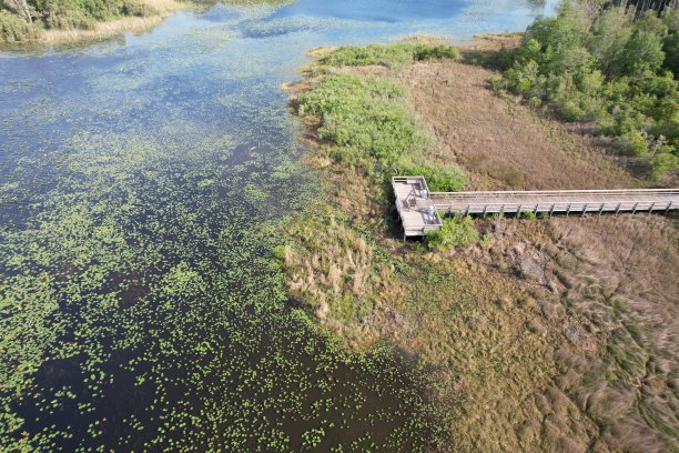 佛罗里达州坦帕湾肖陶夸湖上木制码头的航拍照片。图片下载