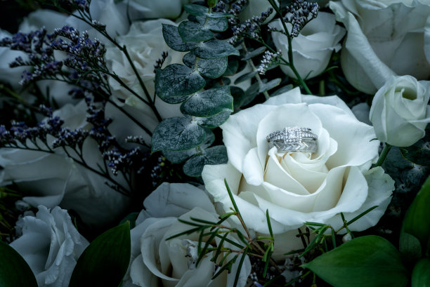 新娘和新郎的结婚戒指戴在象牙玫瑰上图片下载