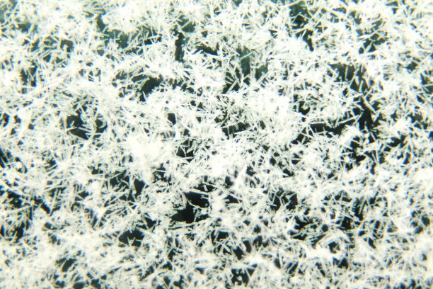 冬季雪蓝色背景散焦。摘要冰霜自然背景与白霜晶体。微距拍摄雪花。抽象的冬季背景。设计。焦点不清图片下载