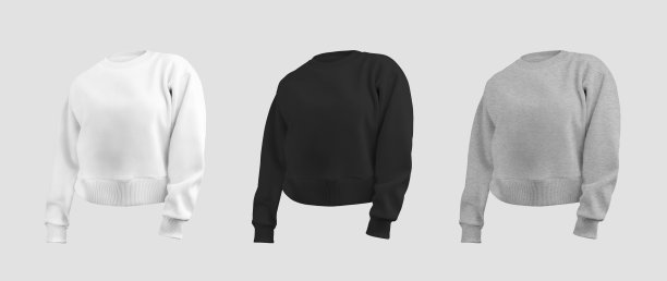 作物运动衫模型，白色，黑色，石南长袖3D渲染，妇女衬衫孤立的背景，正面视图。磨损量f图片下载