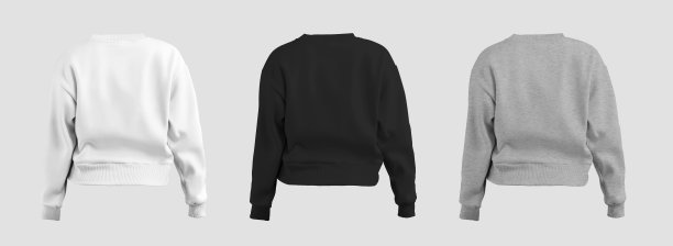 白色，黑色，石南作物运动衫模板3D渲染，后视图，女子长袖的设计，品牌，商业。图片下载
