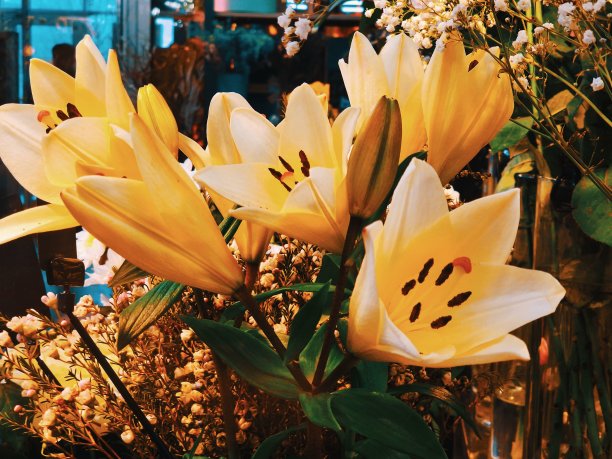 商店里有一束漂亮的花图片下载