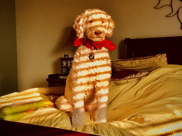 糖果条纹金色涂鸦图片下载