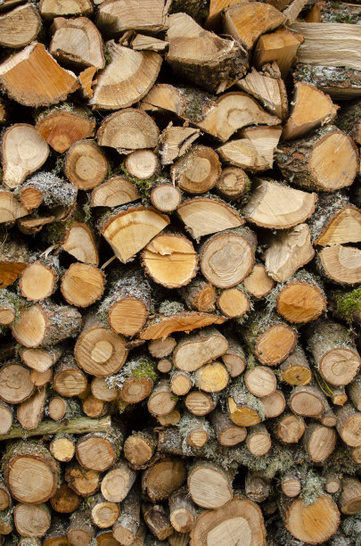 视图橡树木材切割和堆叠为干燥，木材为冬季图片下载