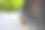 奈良公园的鹿和肖像图片下载