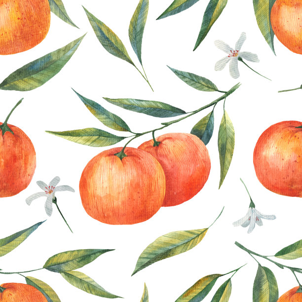 柑橘花图案，无缝水果背景，柑橘，花，叶，树枝纹理。水彩画风格的橘子。的柠檬。橘色设计用于印刷，婚礼，背景，壁纸图片下载